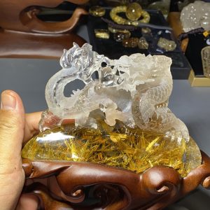 Rồng Hoa Thị Tóc Vàng
