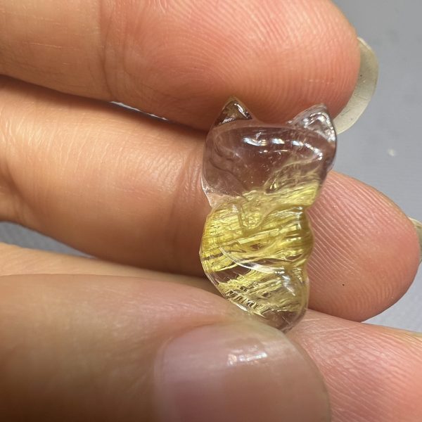 HỒ LY TÓC VÀNG ĐÁ TRONG