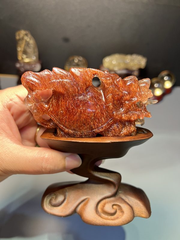 Long Quy Tóc Đỏ