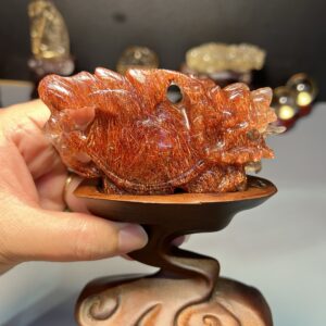 Long Quy Tóc Đỏ