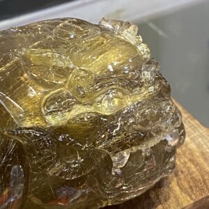 Cụ Tỳ Hưu Tóc Vàng