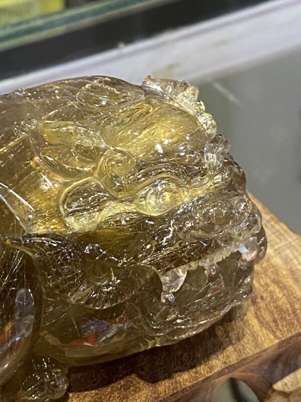Cụ Tỳ Hưu Tóc Vàng