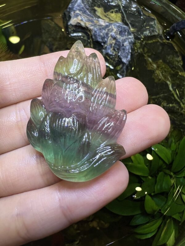 Hồ Ly Flourite