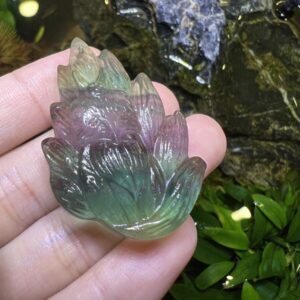Hồ Ly Flourite