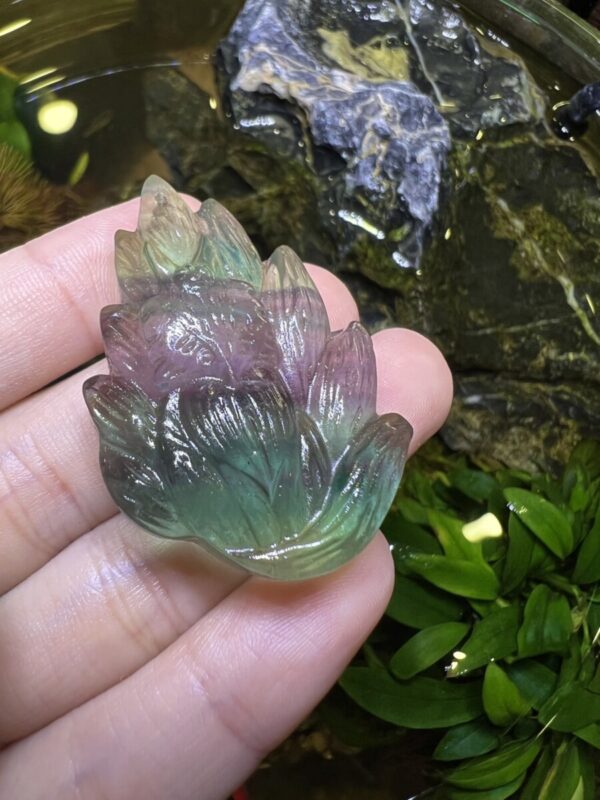 Hồ Ly Flourite