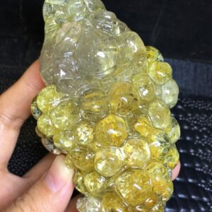 Thiềm Thừ Tóc Vàng Hoa Thị