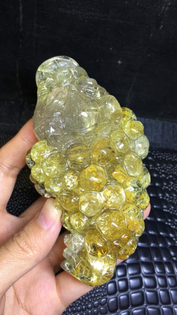 Thiềm Thừ Tóc Vàng Hoa Thị