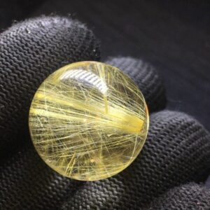 Bi Cầu Tóc Vàng