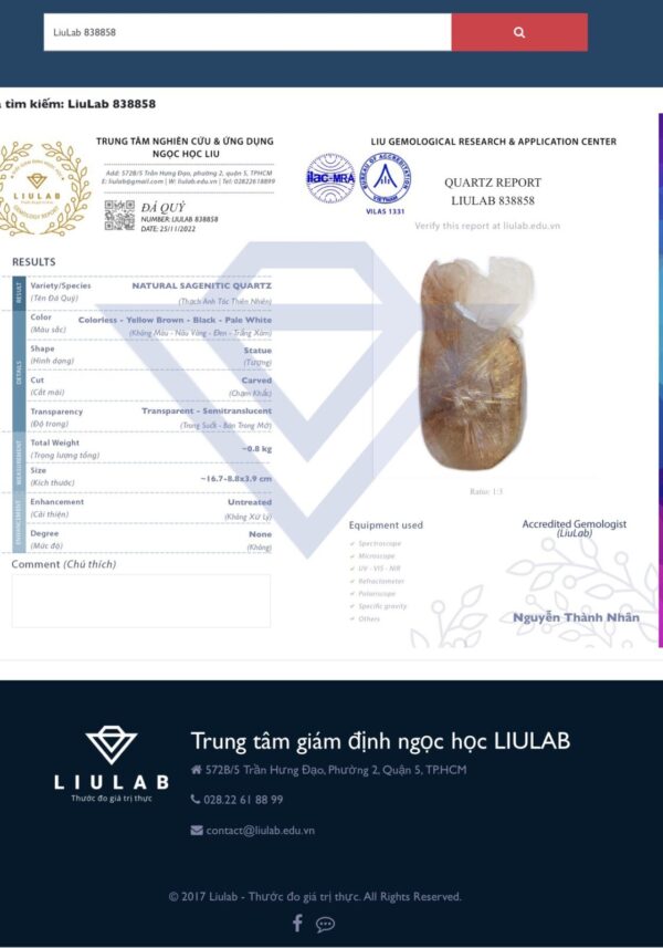 Tác Phẩm Kỳ Lân Thạch Anh Tóc Nâu Ánh Kim Liulab 838858