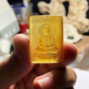 V1235 A Di Đà hổ phách