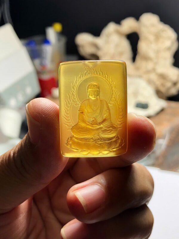 V1235 A Di Đà hổ phách