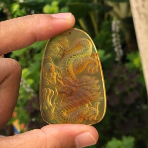V1271 Rồng hổ phách