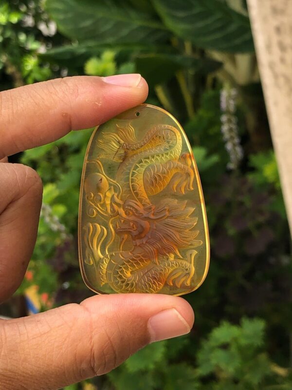 V1271 Rồng hổ phách