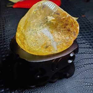 Tác phẩm ngộ đạo