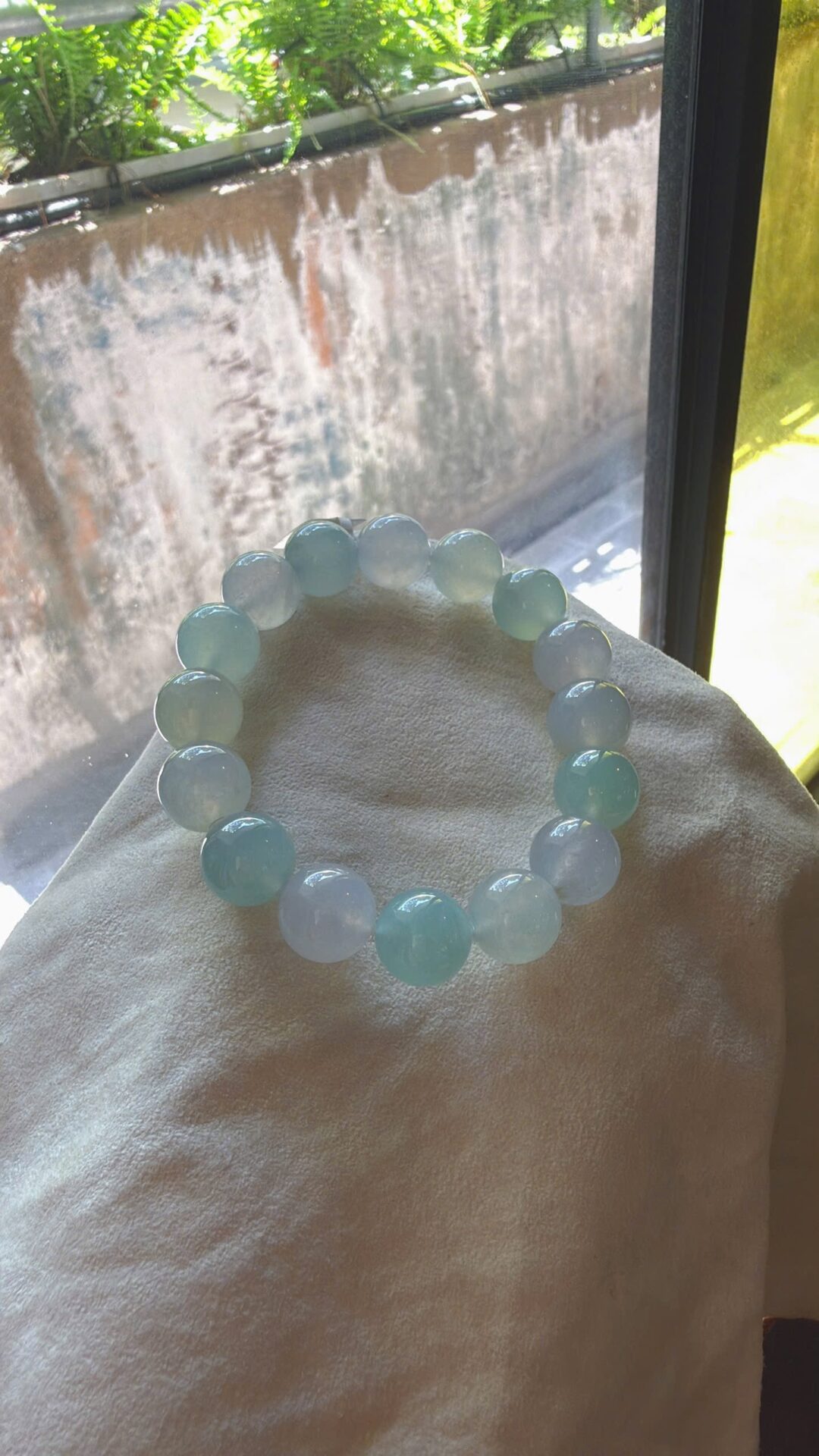 Băng đa bảo tông pastel